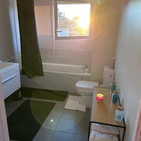 Apartment Du Leman Terasse-wifi-netflix-parking